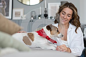 Young woman and her dog on sofa at home. Adorable pet.