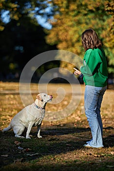 Young woman and her obedient big dog in autumn park