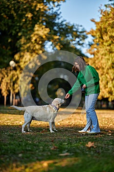 Young woman and her obedient big dog in autumn park