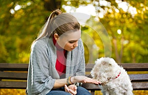 Young woman with her puppy