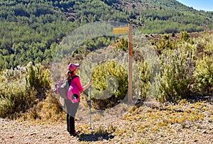 a young woman hiker with her backpack, cap and pole looking a wooden signpost next to a path way in the middle of a walking route