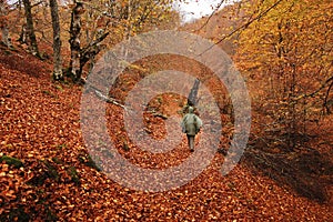 Young woman hiking on beech forest path on rainy day