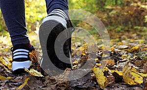 Young woman hiking and going camping in nature. Female legs in sneakers, a woman running in an autumn park among yellow leaves