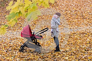 Young woman holding a baby. Mother walking with baby Stroller in autumn Park