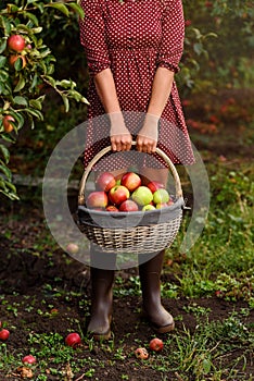 A young woman holding basket with apples