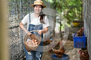 Young woman holding a basket of eggs standing in a chicken farm.