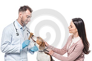 young woman holding beagle while veterinarian giving it bone