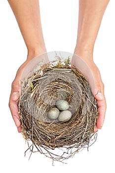 Young woman holding blackbird nest