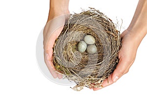 Young woman holding blackbird nest