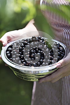 Young woman holding bowl with black currants.