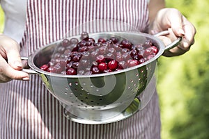 Young woman holding bowl filled with red cherries.