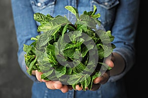 Young woman holding bunch of fresh mint