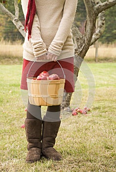 Young woman holding bushel basket of apples in orchard. She is wearing casual fall fashions sweater, corduroy skirt and suede