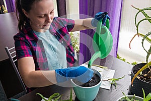 Young woman holding can watering green house plant in pot