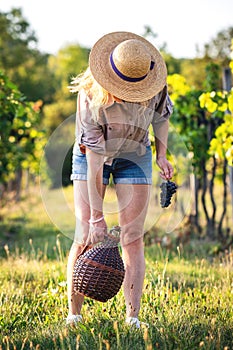 Young woman holding carboy with wine in vineyard