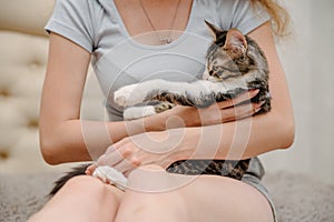 Young woman holding cat on hands. Girl with cat