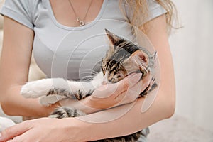 Young woman holding cat on hands. Girl with cat