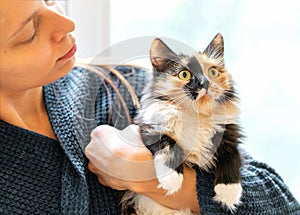 Young woman holding charming long-haired three-color orange-black-and-white cat in her hands. Focus on cat muzzle.