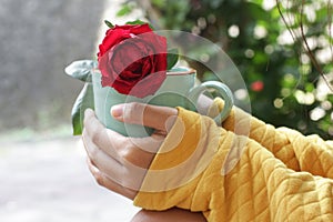 Young woman holding cup of morning coffee or tea with a red rose. Still life, self love and care concept.