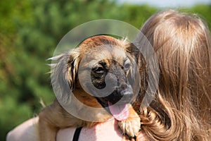 Young woman is holding a dog