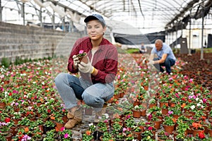 Young woman holding flower pot with impatiens waller