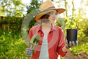 Young woman holding gardening tools and seedling in plastic pots on the domestic garden at summer sunny day. Gardening and farming