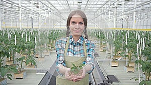 Young woman holding green plant standing in greenhouse on hydroponics.