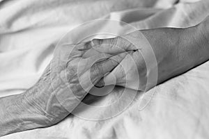 A young woman holding the hand of an old woman in a hospital bed, black & white