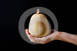 Young Woman Holding in Hand Small Butternut Squash White Pumpkin on Black Background. Harvest Halloween Thanksgiving Autumn