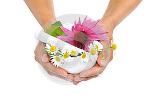 Young woman holding mortar with herbs - Echinacea