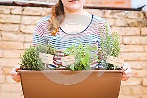 Young woman holding pot of aromatic herbs