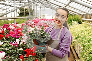 Young woman holding pot with blooming flower in greenhouse.