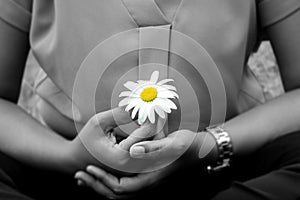 Young woman holding a white daisy flower in hand, cross-legged in yoga or prayer pose gesture. Be balance, find balance in life.