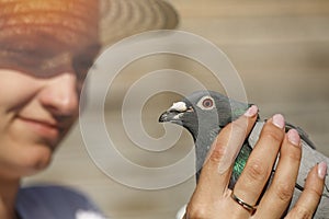 A young woman holds in the hands of a mail pigeon.  She is looking forward to his return from a long journey