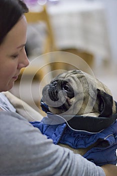 Young woman holds and hugs dressed pug dog with love
