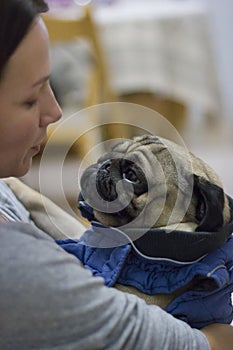 Young woman holds and hugs dressed pug dog with love