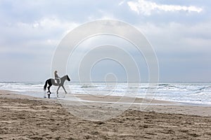 Young woman on a horse on the beach