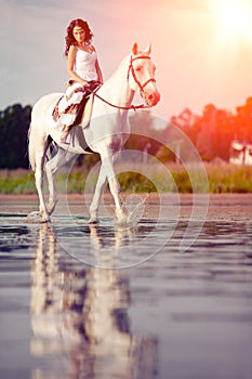 Young woman on a horse. Horseback rider, woman riding horse on b