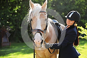 Young woman in horse riding suit and her beautiful pet outdoors on sunny day