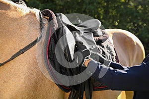 Young woman in horse riding suit and her beautiful pet outdoors on sunny day, closeup