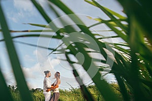 Young woman hugging asian man in the middle of a wheat field and kissing each other.
