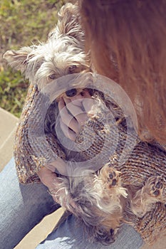 Young woman hugging and cuddling her Yorkshire terrier puppy dog in her lap