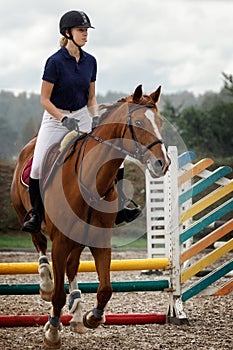 Young woman jump over the hurdle on equine competition with bay brown horse