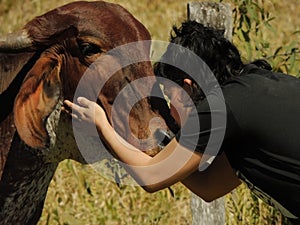 Young woman kissing a cow's head. Veganism Concept