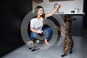 Young woman in kitchen during quarantine. Girl traning french bulldog using dog food and playing with pet. Darkskinned