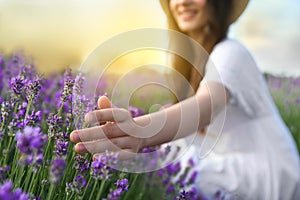 Young woman in lavender field on summer day