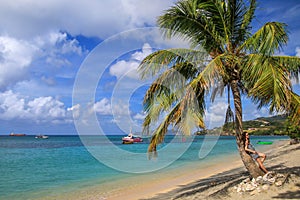 Young woman leaning on the palm tree at the beach, Hillsborough Bay, Carriacou Island, Grenada