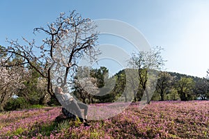 Young woman leaning and relaxing under almond blooming tree enjoying spring.