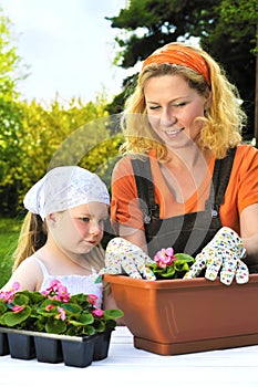 Young woman and little girl gardening in spring, planting flower seedlings, smiling mother and her happy child working in garden