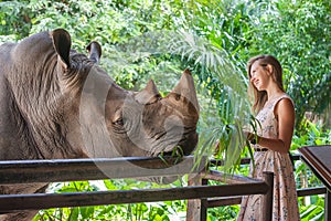 Woman feeding the big rhino